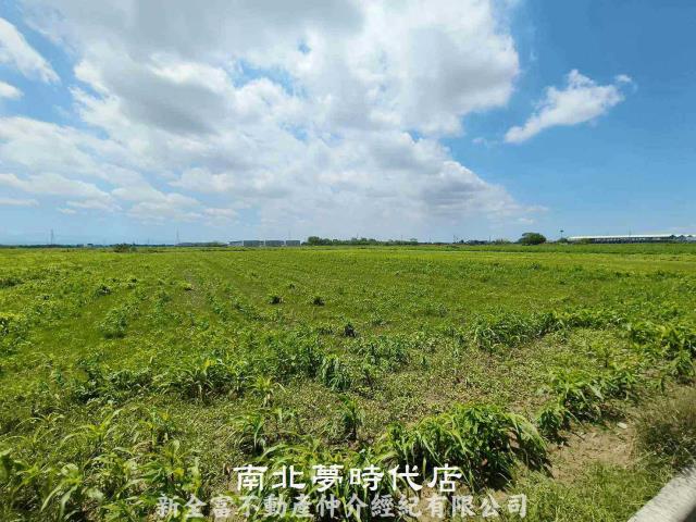 鹽水農地-0