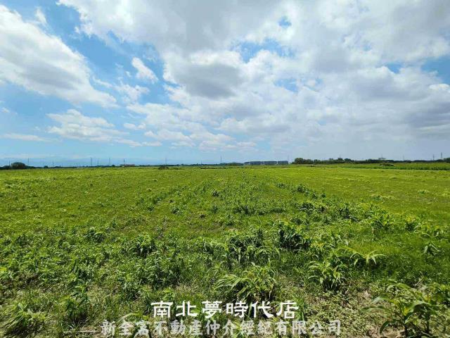 鹽水農地-2