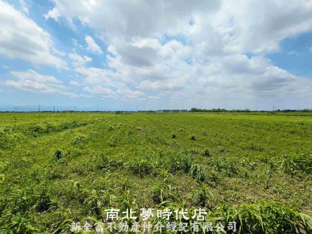 鹽水農地-4