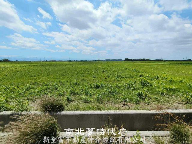 鹽水農地-6