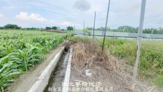 佳里農地-11