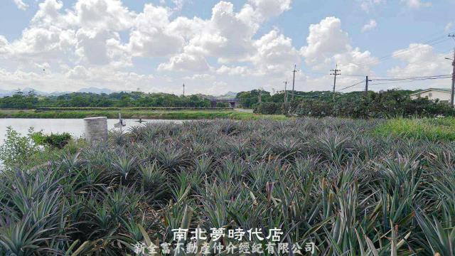 台南柳營農地-9
