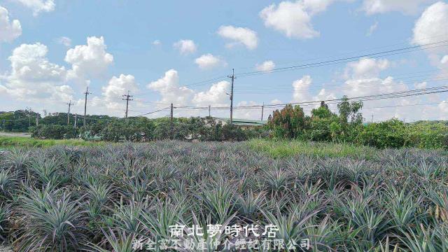 台南柳營農地-4
