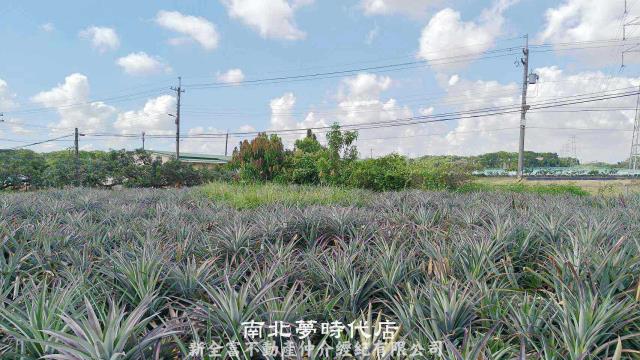 台南柳營農地-5