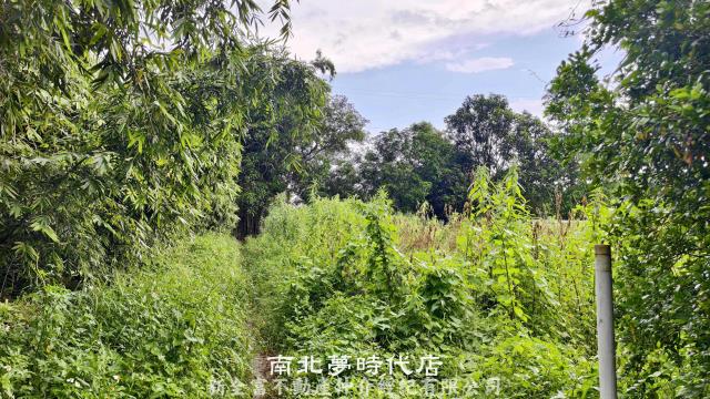 仁德農地-1