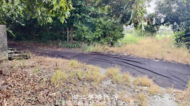 仁德農地-2