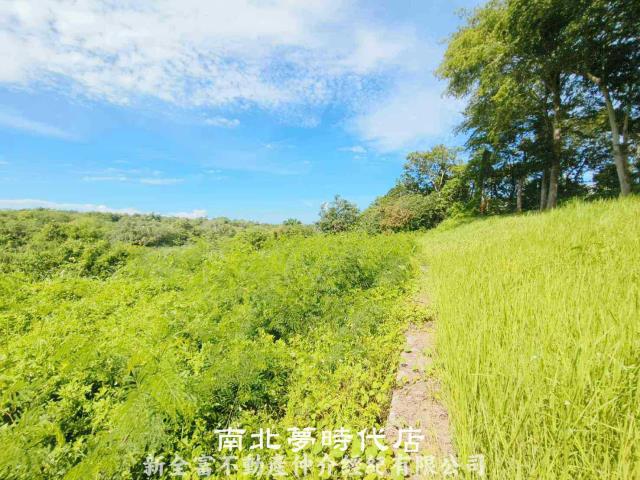 台南玉井農地-0