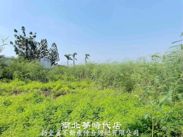 嘉義太保重劃地-1