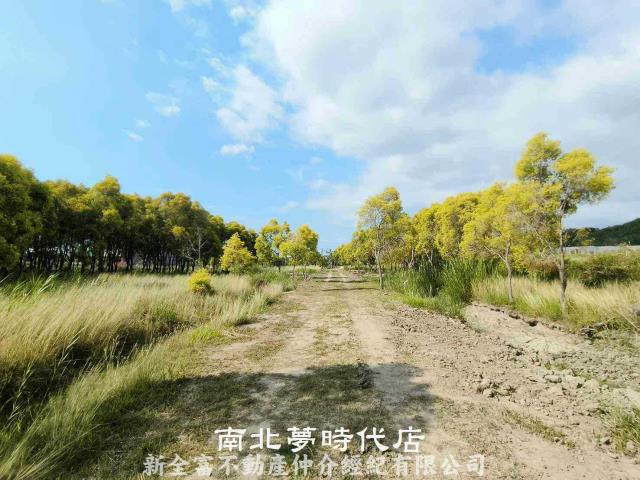 台南六甲農地-9