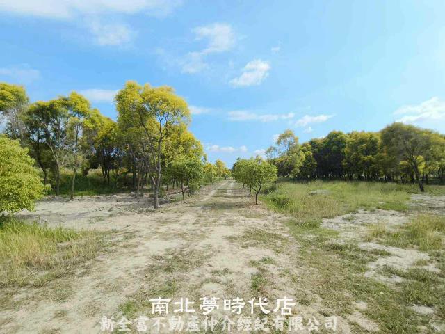 台南六甲農地-2