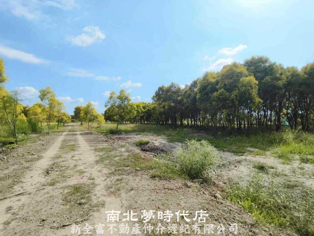 台南六甲農地-3