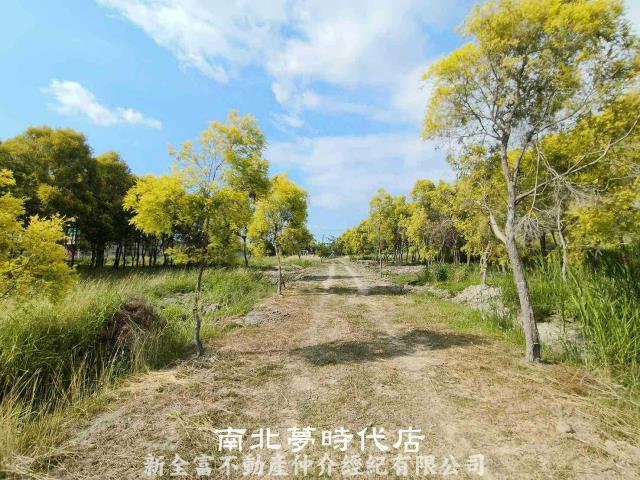 台南六甲農地-5