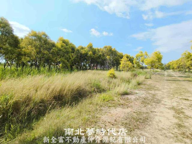 台南六甲農地-6