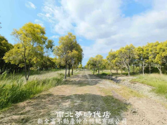 台南六甲農地-8