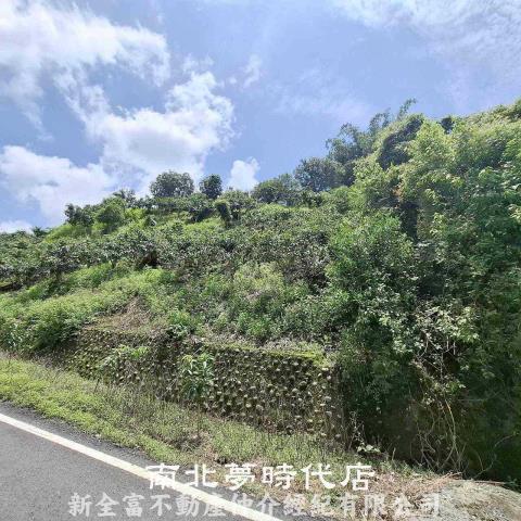 台南楠西農地-0