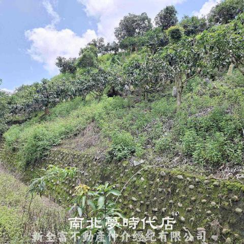 台南楠西農地-1