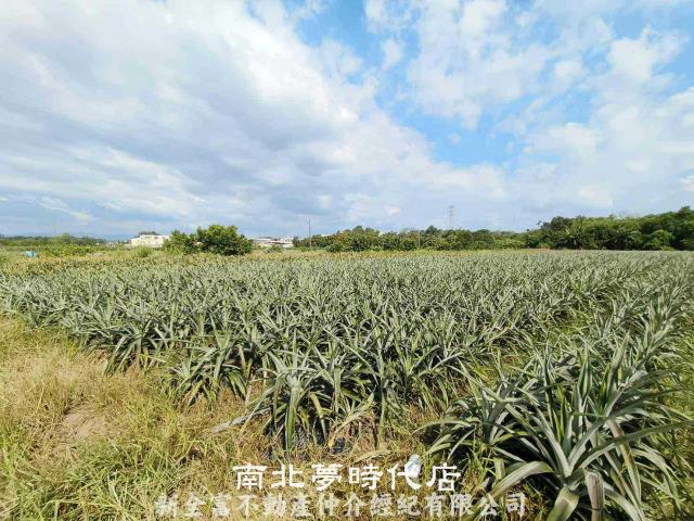 台南山上農地-0