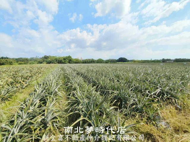 台南山上農地-5