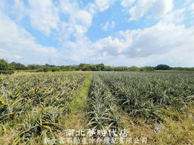 台南山上農地-6