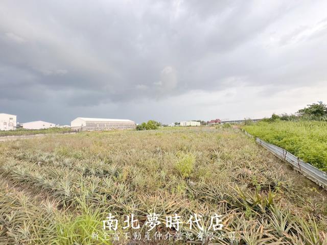 新化農地-9