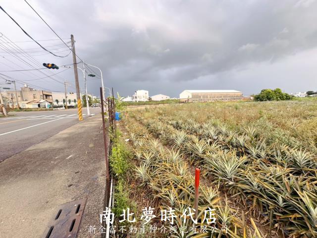 新化農地-6