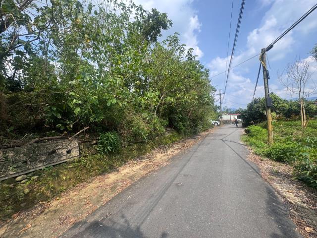 玉井農地-5