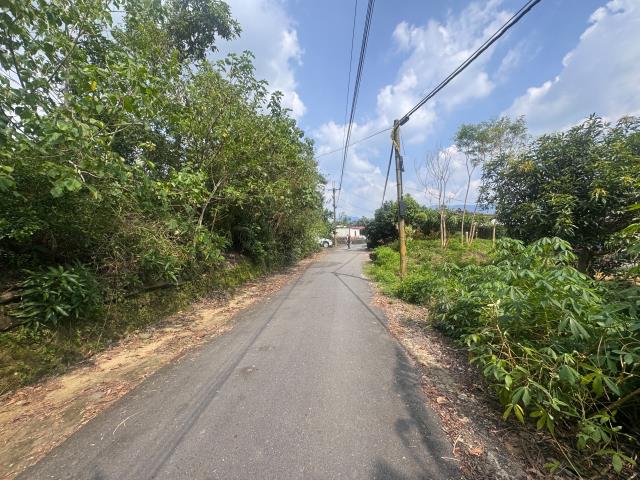 玉井農地-6