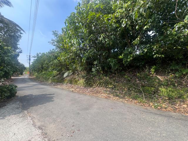 玉井農地-8