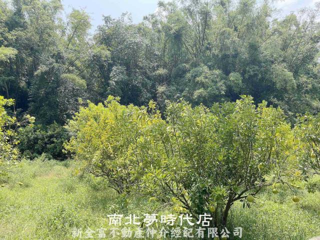 台南農地-0