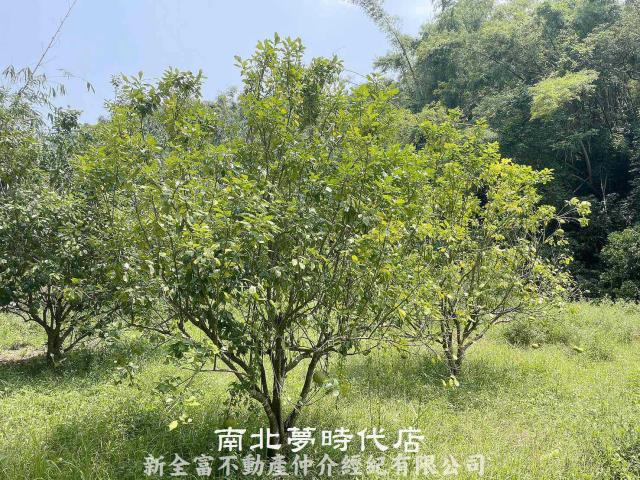台南農地-1