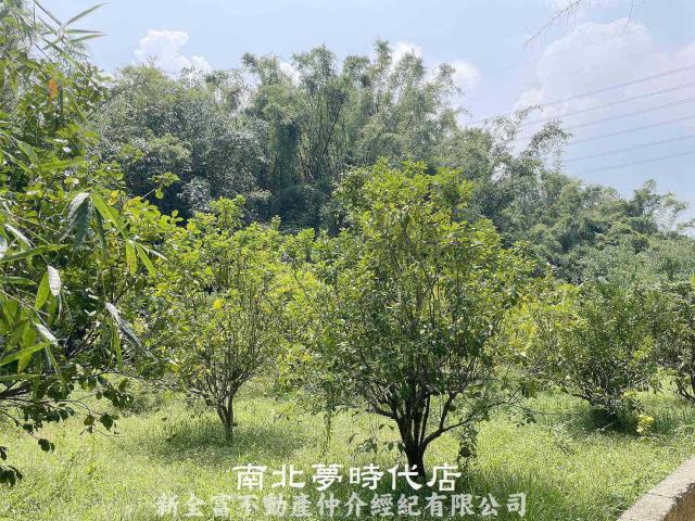 台南農地-3