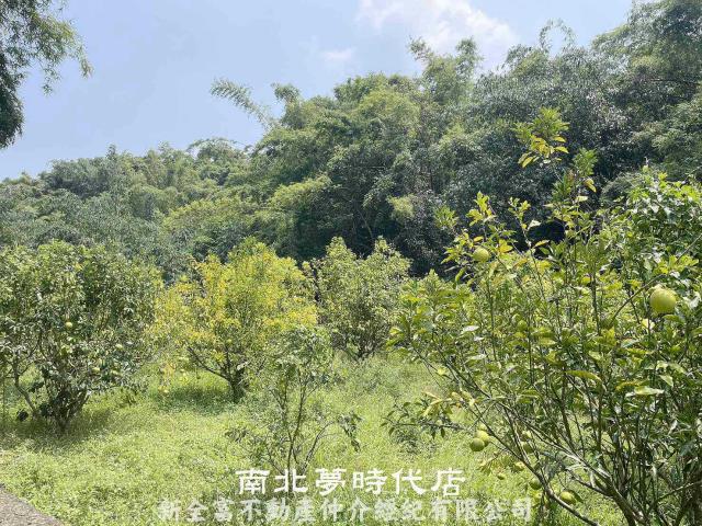 台南農地-4