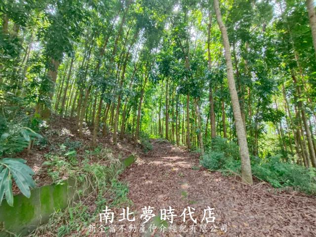 龍崎農地-2