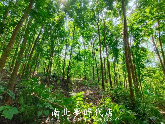 龍崎農地-3