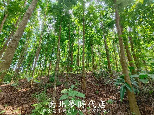 龍崎農地-4