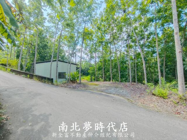 龍崎農地-9
