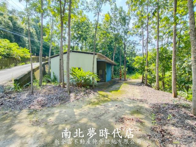 龍崎農地-3