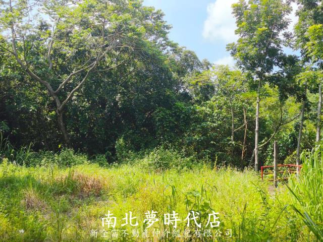 龍崎農地-5
