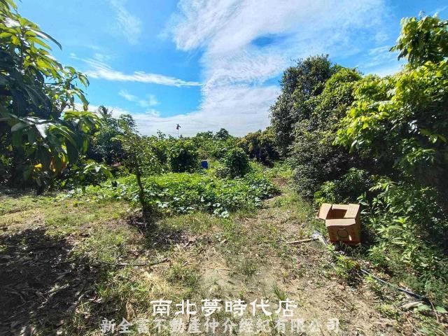 官田農地-9
