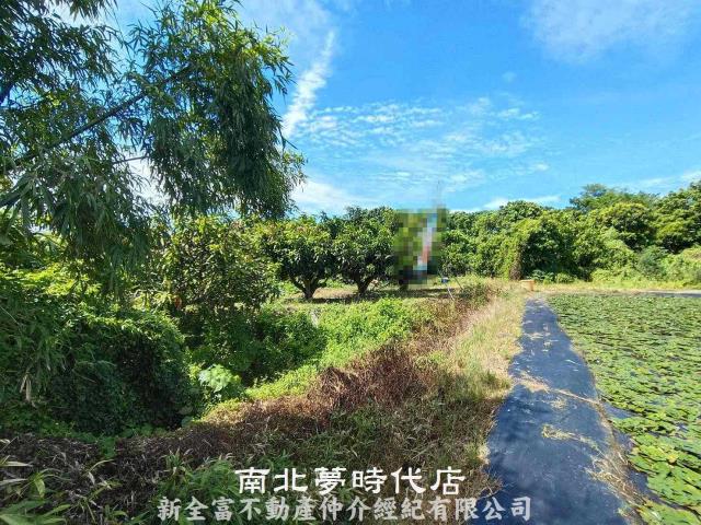 官田農地-10