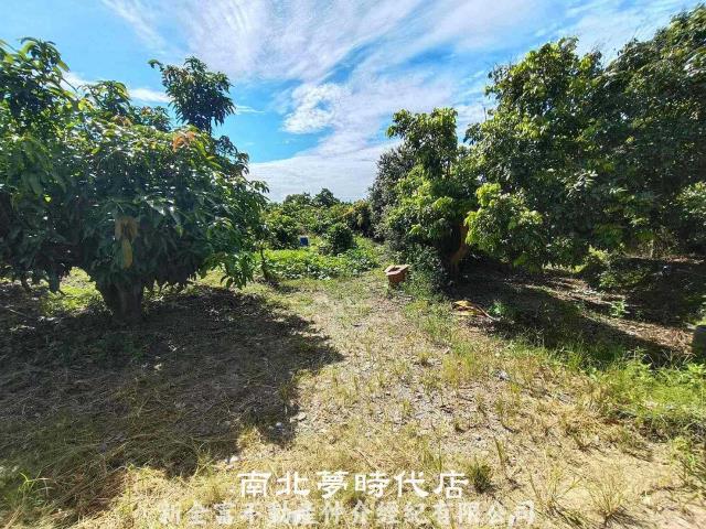 官田農地-0
