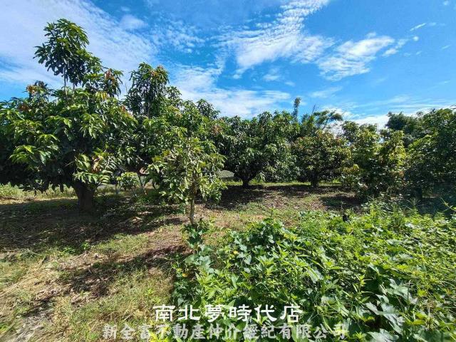 官田農地-1
