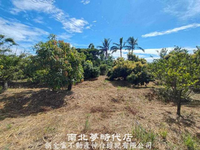 官田農地-2