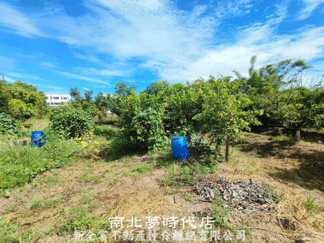 官田農地-3