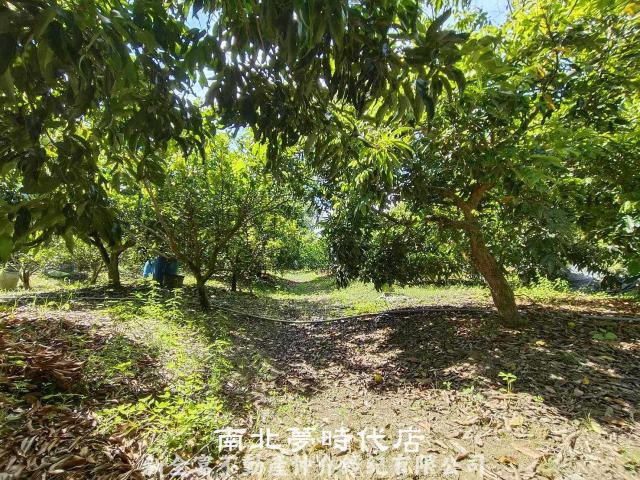 官田農地-4