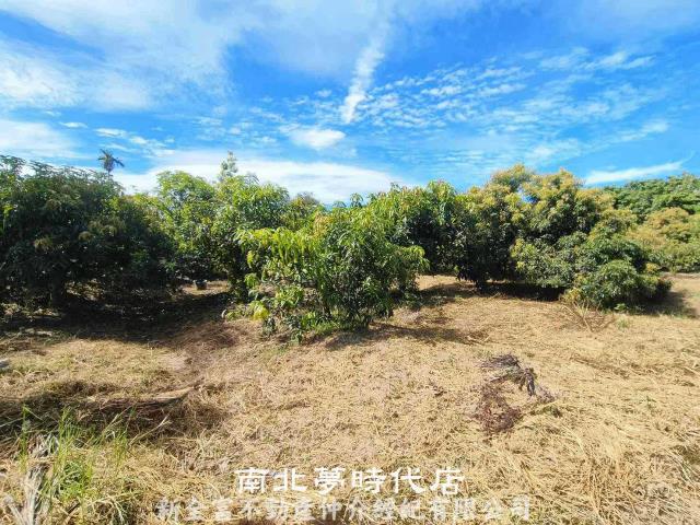 官田農地-5