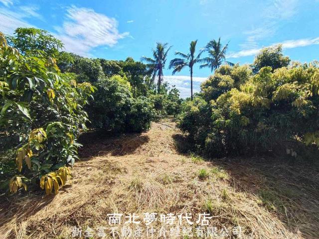 官田農地-6