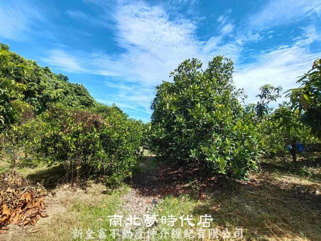 官田農地-7