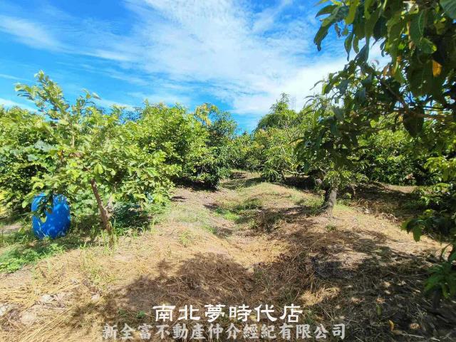 官田農地-8