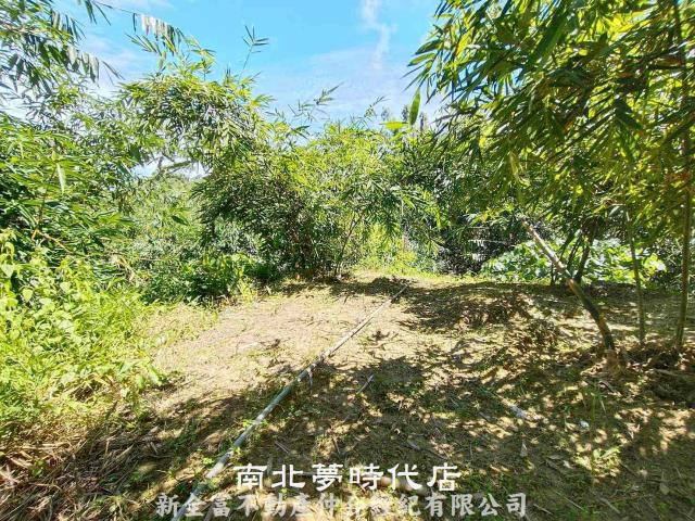 台南農地-9